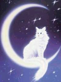 CAT MOON by Ted Gueller