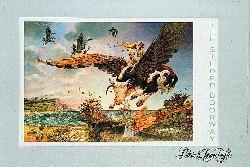 THE GILDED DOORWAY POSTER by Patrick Woodroffe