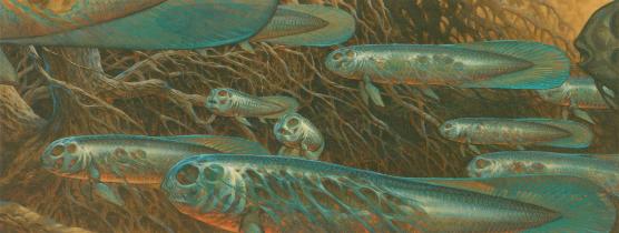 MELTIFICATION OF THE LOATHSOME FISHES POSTER by Berni Wrightson