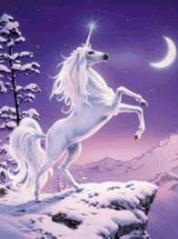 MOONLIGHT UNICORN 