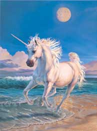UNICORN SEA