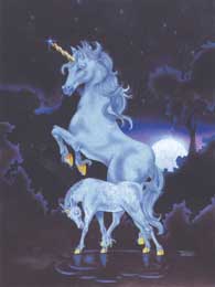 UNICORN & BABY