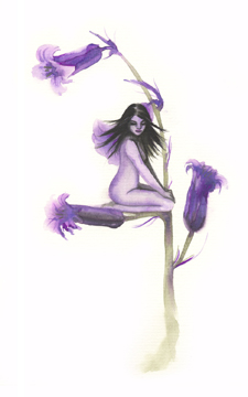 BLUEBELLS signed print by Alexandra Dawe