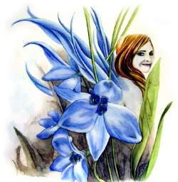 IRIS signed print by Alexandra Dawe