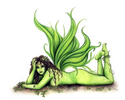 IVY signed print by Alexandra Dawe