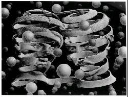 BOND OF UNION by MC Escher