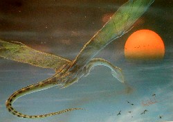 DRAGON DANCE by Tim White