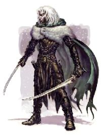DRIZZT signed print by Todd Lockwood
