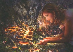 ELLA AND THE DREAM FAERY (std) by Damon Wilson-Hart