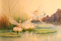 FLOWER FAIRIES by JG Gregory