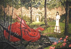 MEETING THE DRAGON by Vincent Danks 