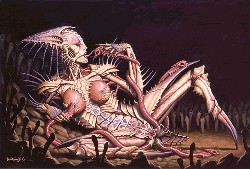 MATERNITY by Dorian