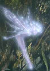 SIGNED! SYLPH by Brian Froud