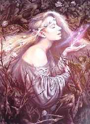 SOMETHING RICH & STRANGE by Brian Froud (Ltd)