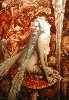 FANTASY - FAERIES - CELTIC and NEW AGE THEMES