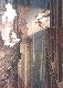 FRANCOIS SCHUITEN
