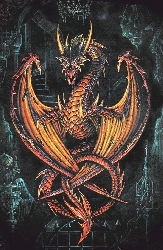 WYVEREX AUCTOR Flag