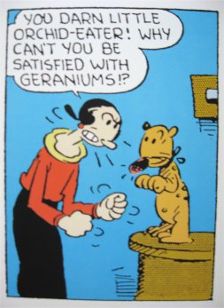 Popeye 15