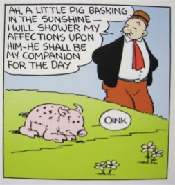 Popeye 22