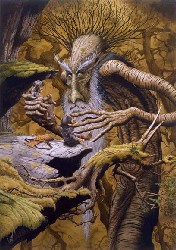RODNEY MATTHEWS