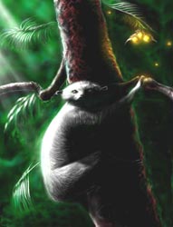 Tree Hugger (Ltd) by Philippe Coriat